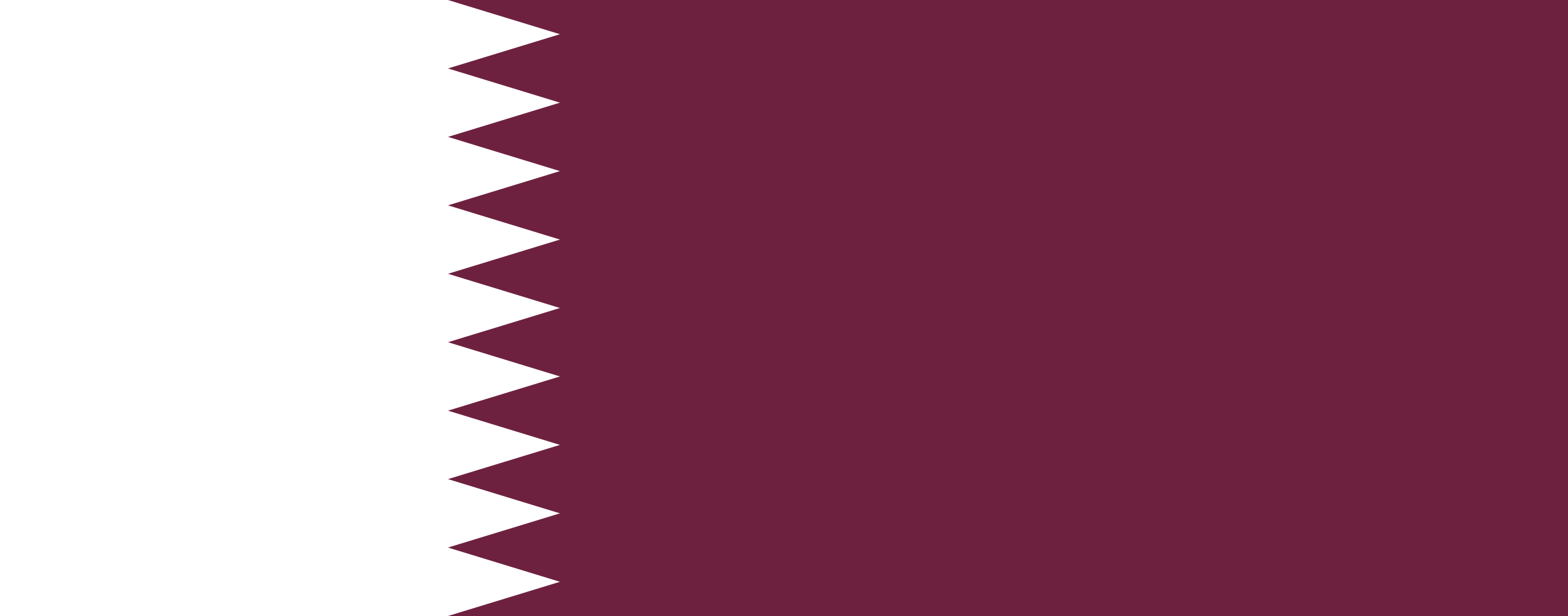 Qatar Flag icon