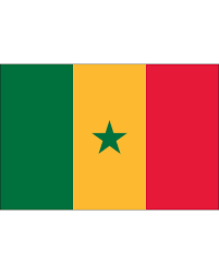 Senegal Flag icon