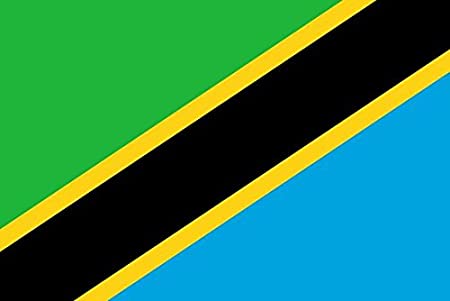 Tanzania Flag icon